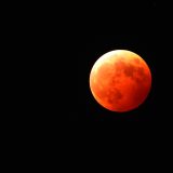 長崎・佐世保　高1女子殺害事件について